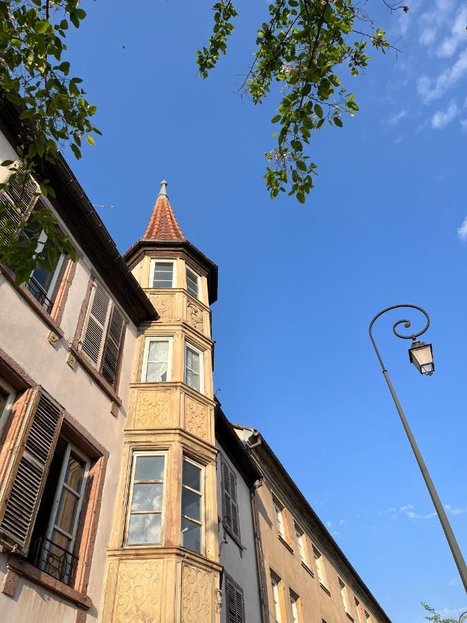 Le Baumann Concept: Appartement De Charme Dans Un Monument Historique Colmar Dış mekan fotoğraf